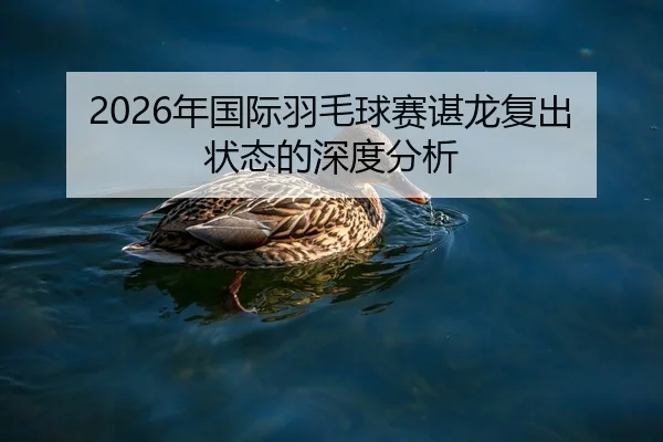 2026年国际羽毛球赛谌龙复出状态的深度分析