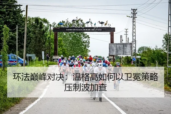 huan-fa-dian-feng-dui-jue-wen-ge-gao-ru-he-yi-wei-mian-ce-lve-ya-zhi-bo-jia-cha-3-123.jpg