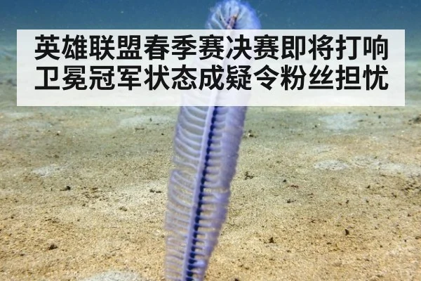 英雄联盟春季赛决赛即将打响 卫冕冠军状态成疑令粉丝担忧