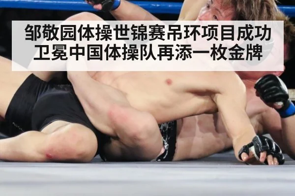 邹敬园体操世锦赛吊环项目成功卫冕中国体操队再添一枚金牌